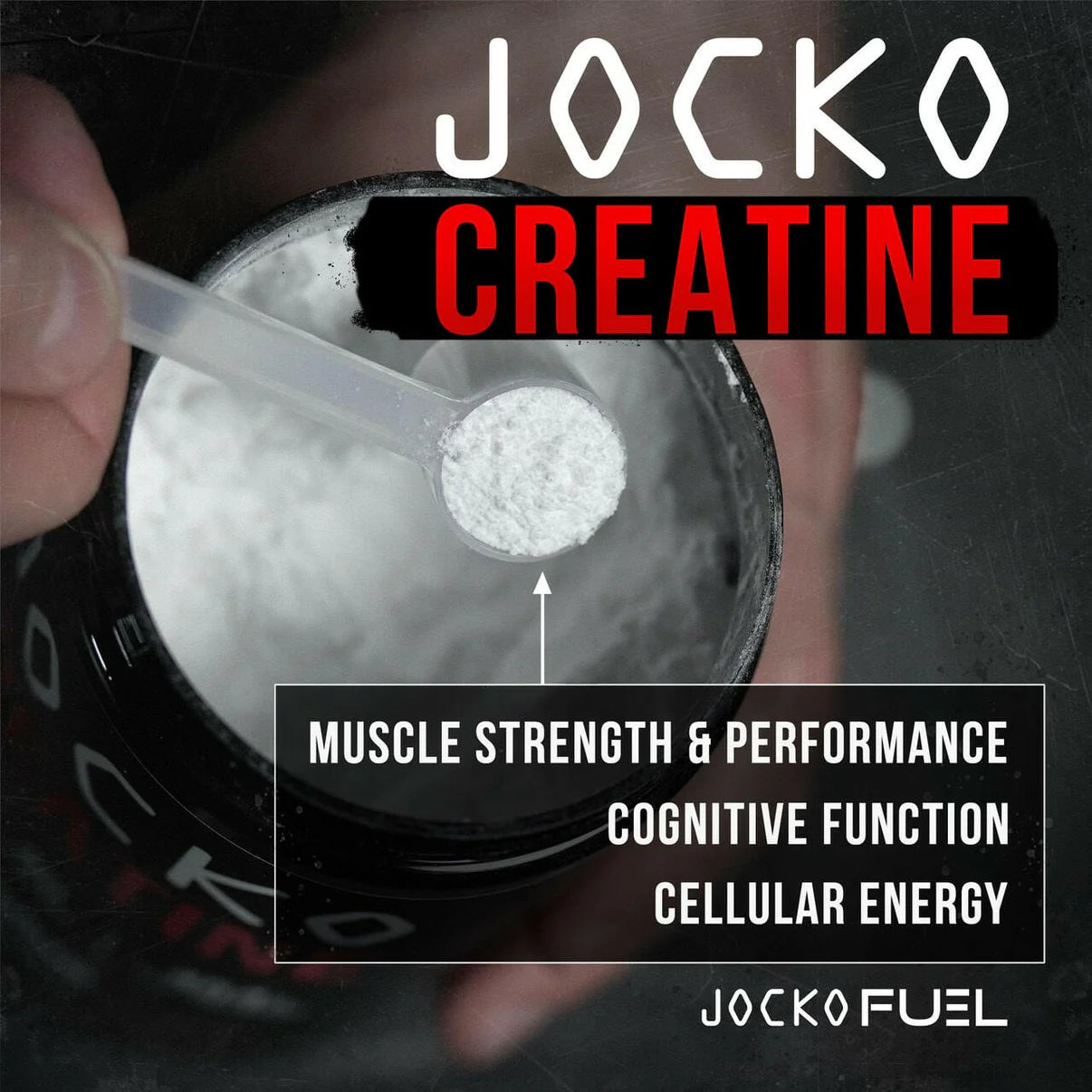 Jocko Creatine