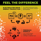 LMNT Electrolyte Drink Mix