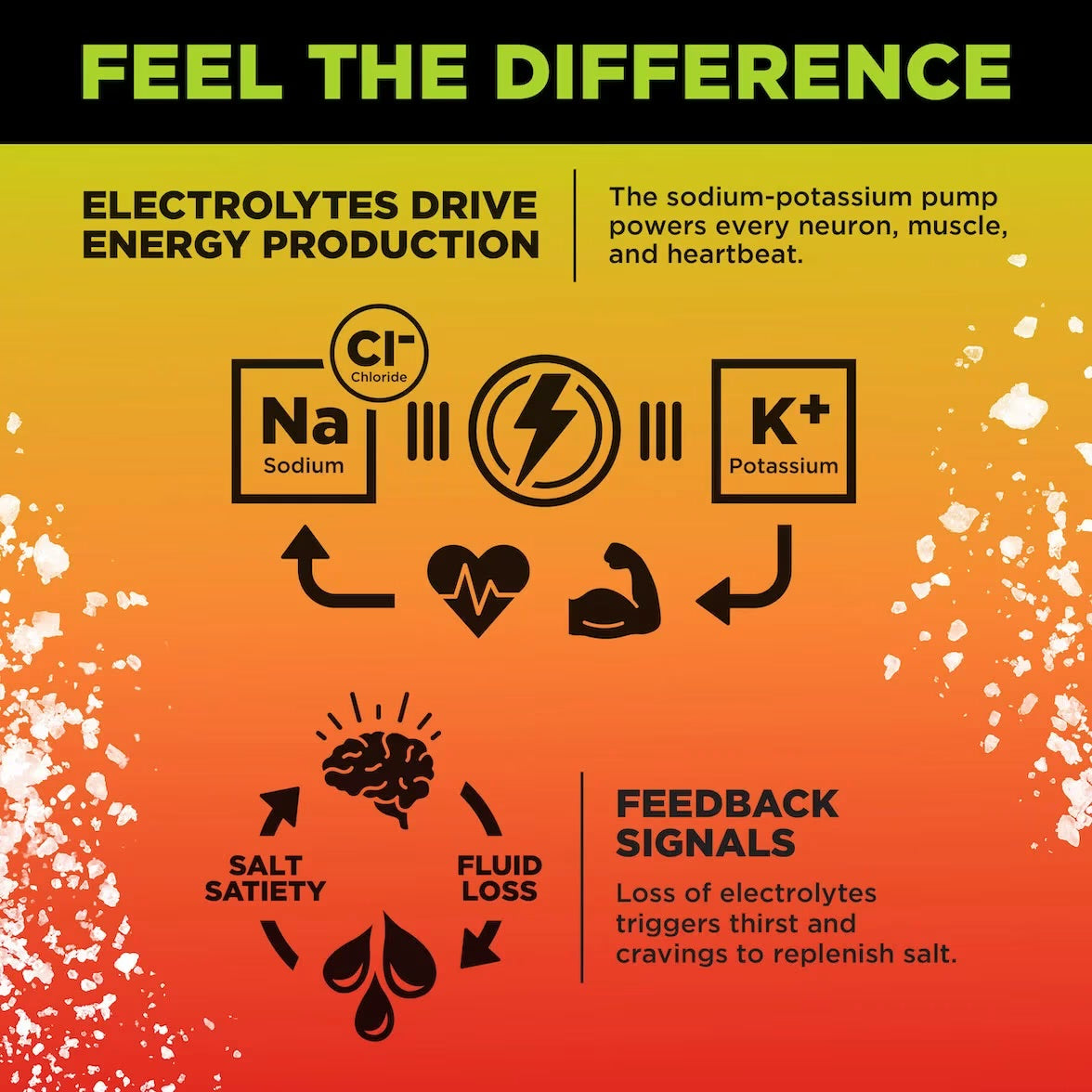 LMNT Electrolyte Drink Mix