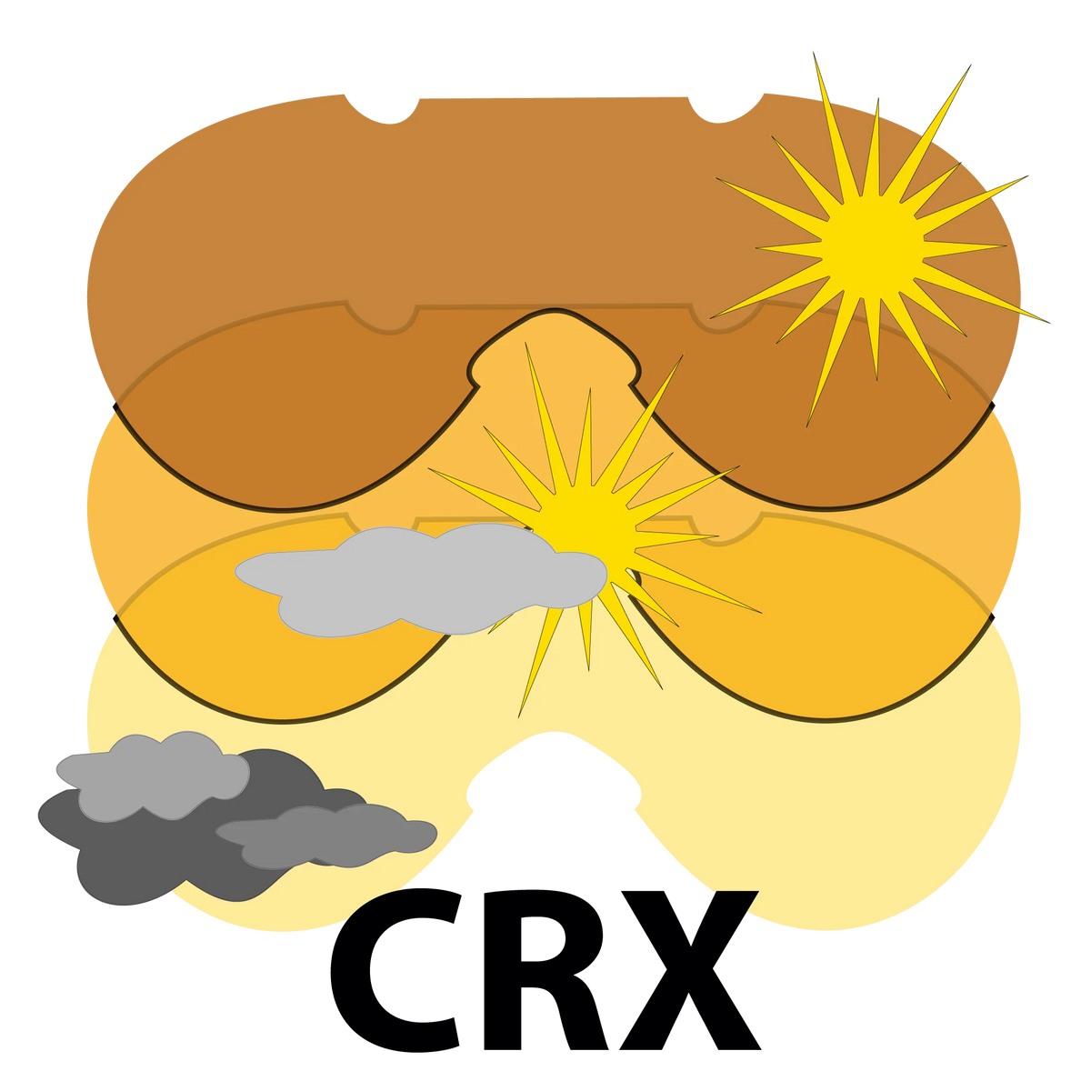 Lentes Italianos Salice: Black Fotocromático